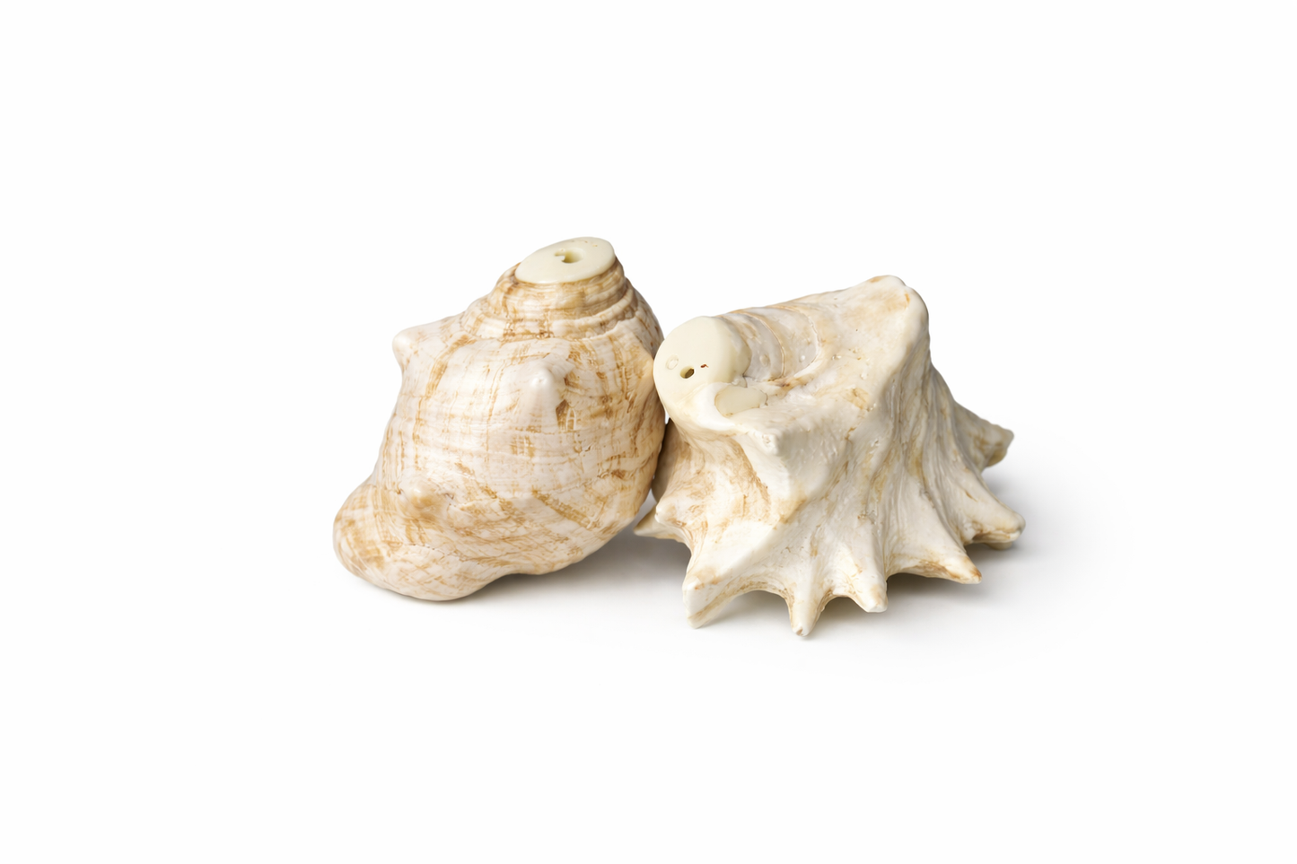 Duo Salière & Poivrière en coquillage “Trésor du Lagon” - Artisanat balinais