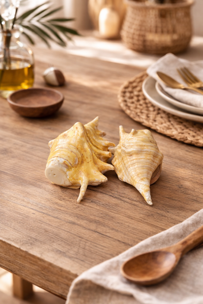 Duo Salière & Poivrière en coquillage “Trésor du Lagon” - Artisanat balinais