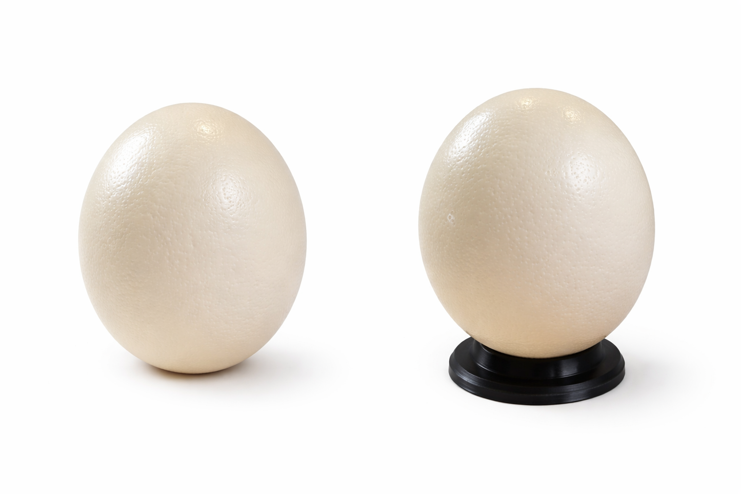 Oeuf d'autruche brut - Artisanat Africains Eswatinien